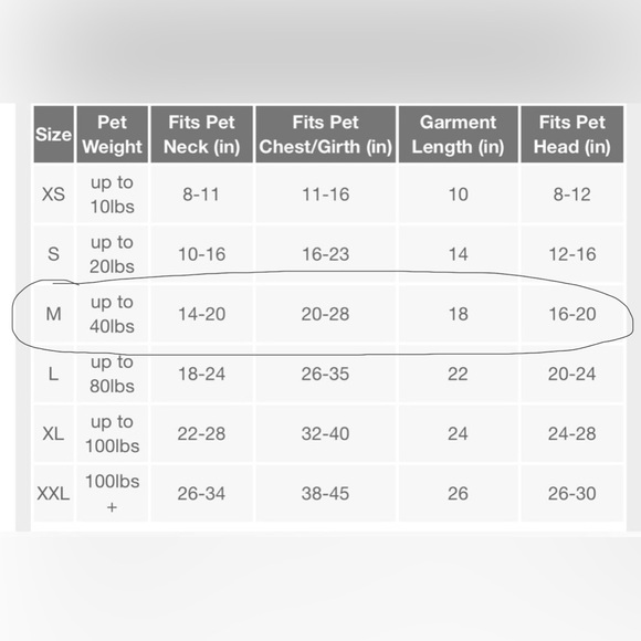 Medium dog pjs - Picture 5 of 5